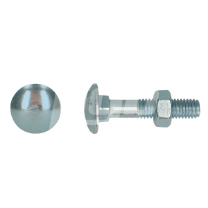 HOUTBOUT 4.8 DIN 603/555 M 12X55 ZN