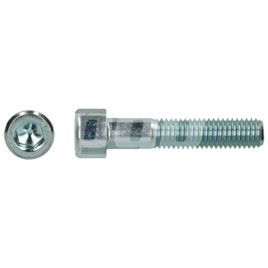 BZK SCHROEF 8.8 GD ISO4762 M 6X120 ZN