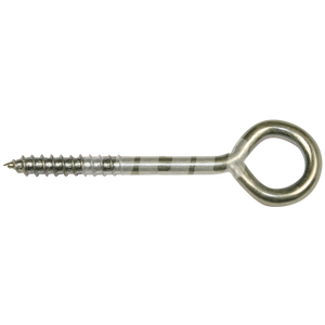 LANGE SCHROEFOOG 7,00X100 ZN