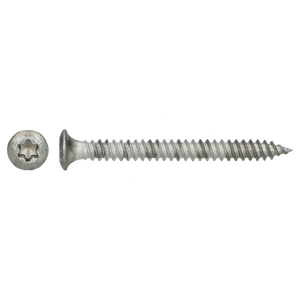 DAKSCHROEF VZK T25 Ø4,80X100 MAGNI