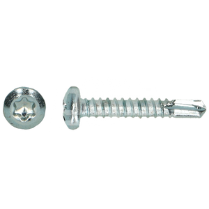 ZELFB. SCHROEF DIN 7504M-T20 Ø4,20X32 ZN