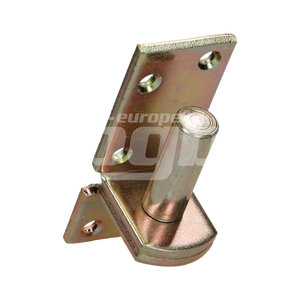 PLAATDUIM Ø18X40 ZNGEEL