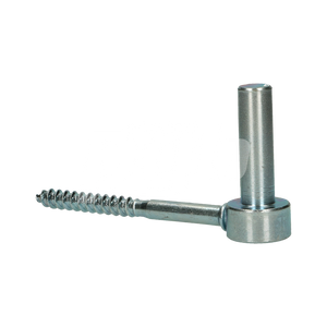 SCHROEFDUIM Ø16X100 ZN