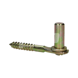 SCHROEFDUIM Ø18X100 ZNGEEL