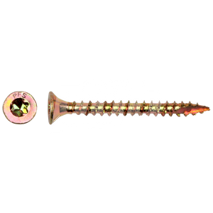 SPAANDERPLAATSCHR PFS+ VZK-T Ø2,5X20 ZNG