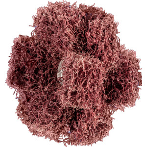 POLINOX-SLIJPSTER PNST 38-3 A 80