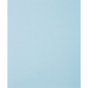 SCHUURVEL BP W 230X280 SIC 1200