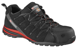 SCHOENEN DICKIES TREK 47