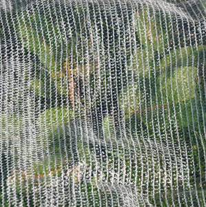 ARTOCLIMA 16M X 250M