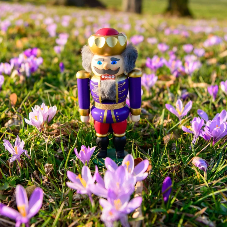 Nutcracker Indigo Raspberry - 11473