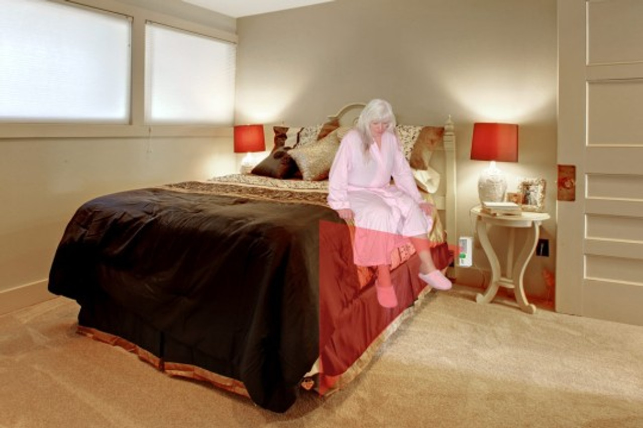 Motion Sensor Alarm In Room