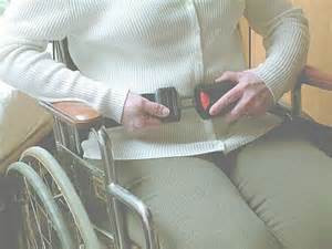 Economy In-Room Monitor with Easy Release Wheelchair Seat Belt Economy In-Room Monitor with Easy Release Wheelchair Seat Belt