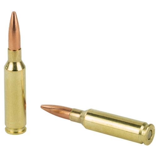 Remington Hog Hammer - 6.5 Creedmoor - 120gr - TSX BT - 20 Rds/box