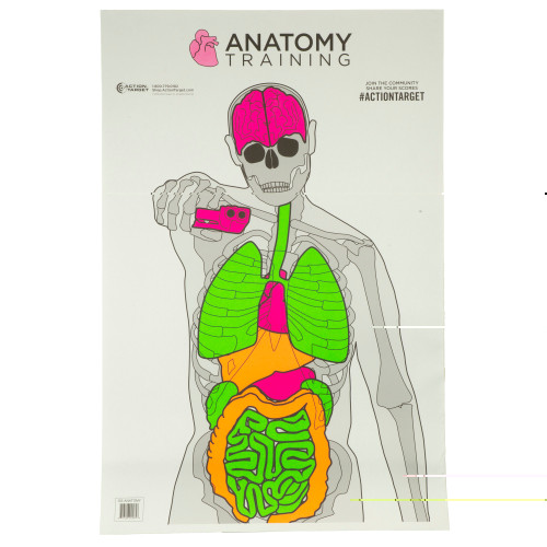 Action Target Anatomy Training Targets 100-Pack for shooting practice