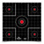 Birchwood Casey Dirty Bird Sight-In Target 12x12 inch shooting target