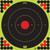 Pro-Shot Products 17-inch Green Bullseye Shooting Targets 5-Pack