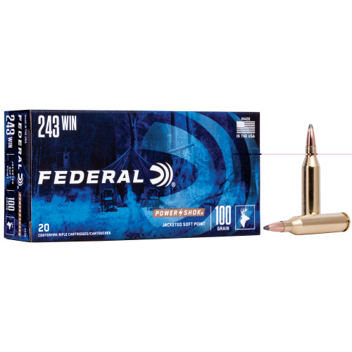 FEDERAL 243 WIN - 100 GR - SP - 20 RDS/BOX