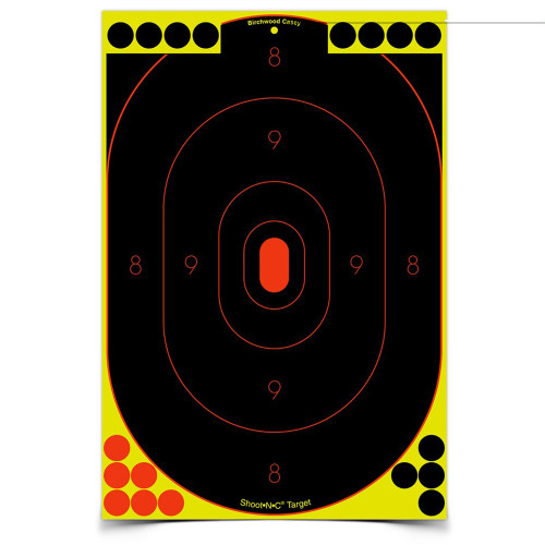 Birchwood Casey Silhouette Shooting Target 5-12x18 for rifle and pistol practice