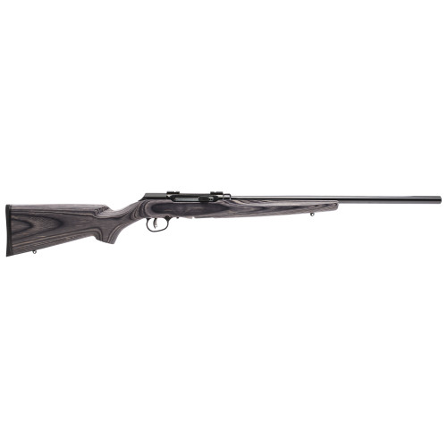 Sav A17 Target 17hmr 22" 10rd Bl/lam