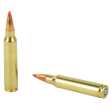 Federal 223 Rem 53 Grain V-MAX cartridges detail view