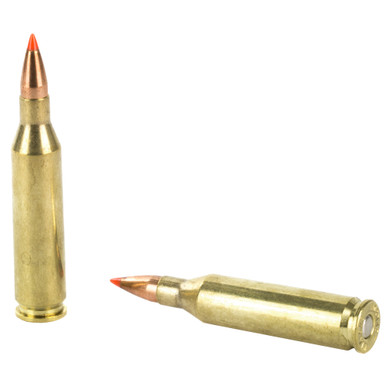 Hornady 243 Win V-MAX bullet tip close-up detail