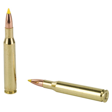 Nosler 270 Win 130 Gr Ballistic Tip Bullet Close-Up