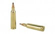 Nosler 22-250 Remington 55gr Flat Base Tipped rounds close-up detail
