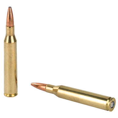Federal Fusion 25-06 Remington ammunition cartridge close-up