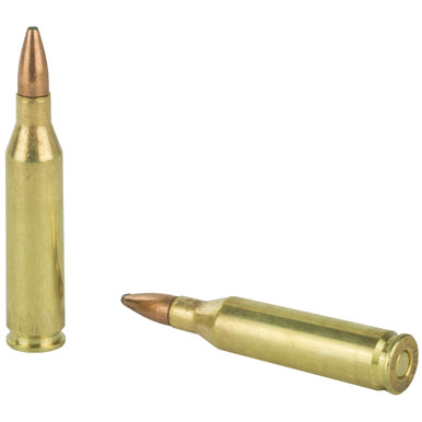 Remington 243 Win 80 Grain Pointed Soft Point cartridges close-up