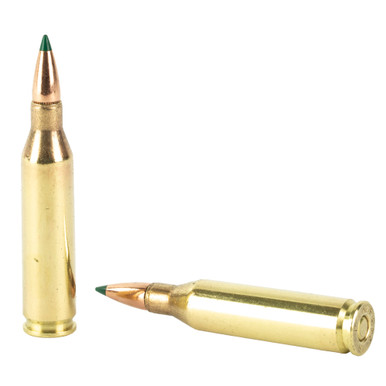 Remington Core-Lokt Tipped .243 Win 95gr Polymer Tip Bullet Close-Up