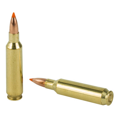 Nosler 22 Nosler 55gr Ballistic Tip Rounds and Box Detail