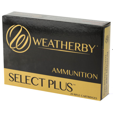 Weatherby 300 WBY Magnum TTSX cartridge and bullet close-up detail