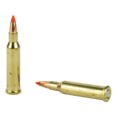 Hornady 17 Hornet V-MAX Bullet Close-Up Detail