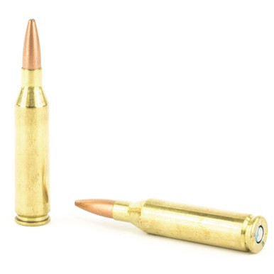 Federal 243 Win 95 Grain Boat Tail Cartridge Close-Up