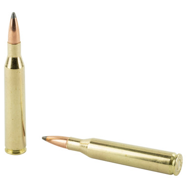 Nosler 25-06 Rem 100gr Partition cartridges and bullet detail