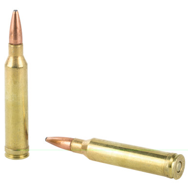 Remington 7mm Rem Mag PSP cartridge close-up showing bullet profile
