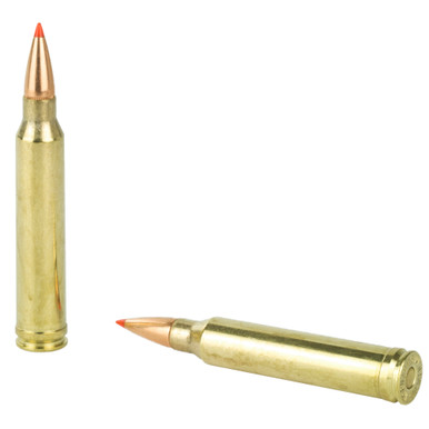 Hornady 300 Winchester Magnum SST bullet close-up detail