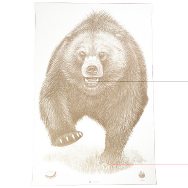 Action Target AK State Park Bear paper shooting target 100 pack