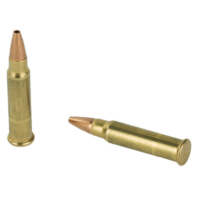 Federal Premium V-Shok 17 HMR ammunition rounds close-up