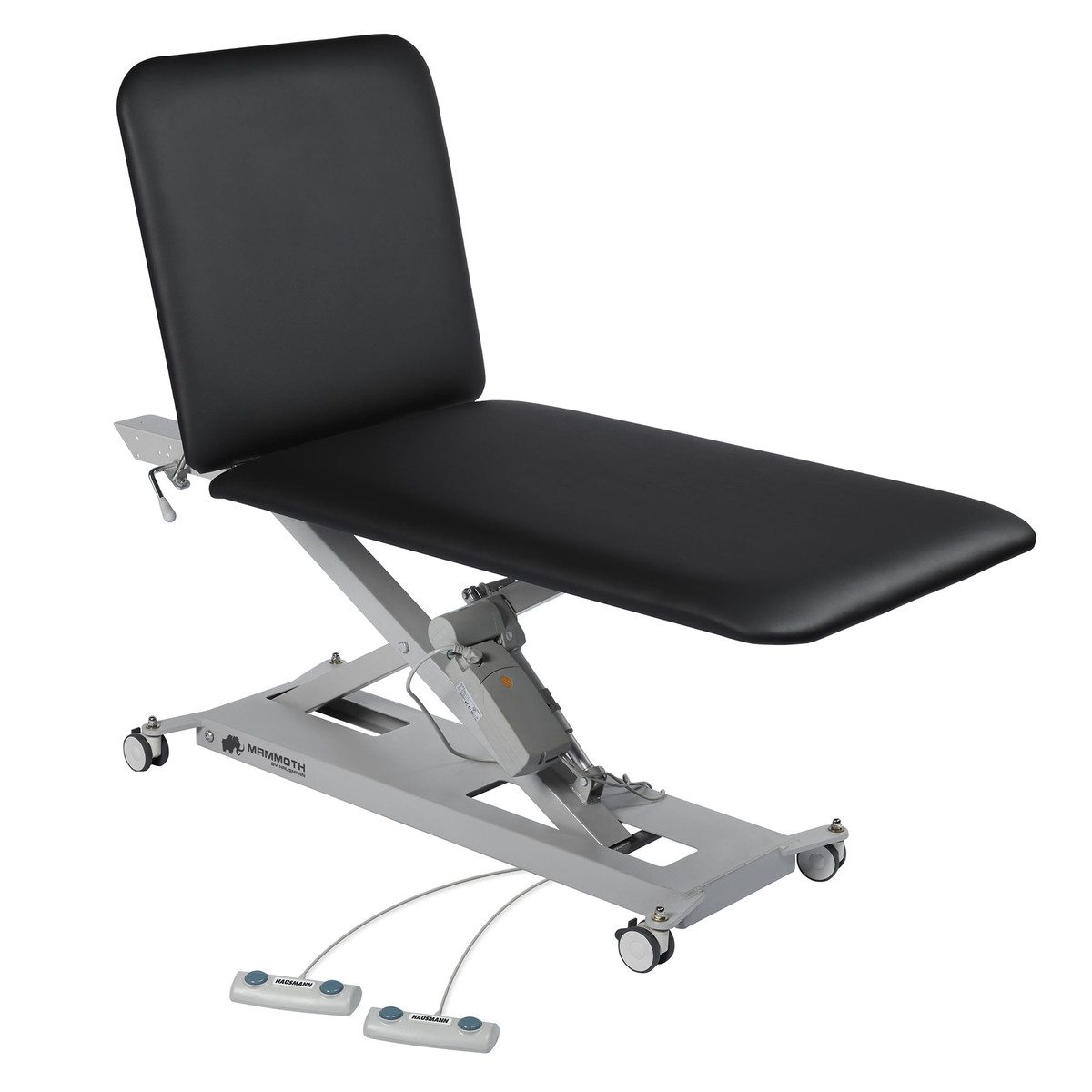 Hausmann 7702 Mammoth 2: 2-Section HI-LO Examination Table | Exam