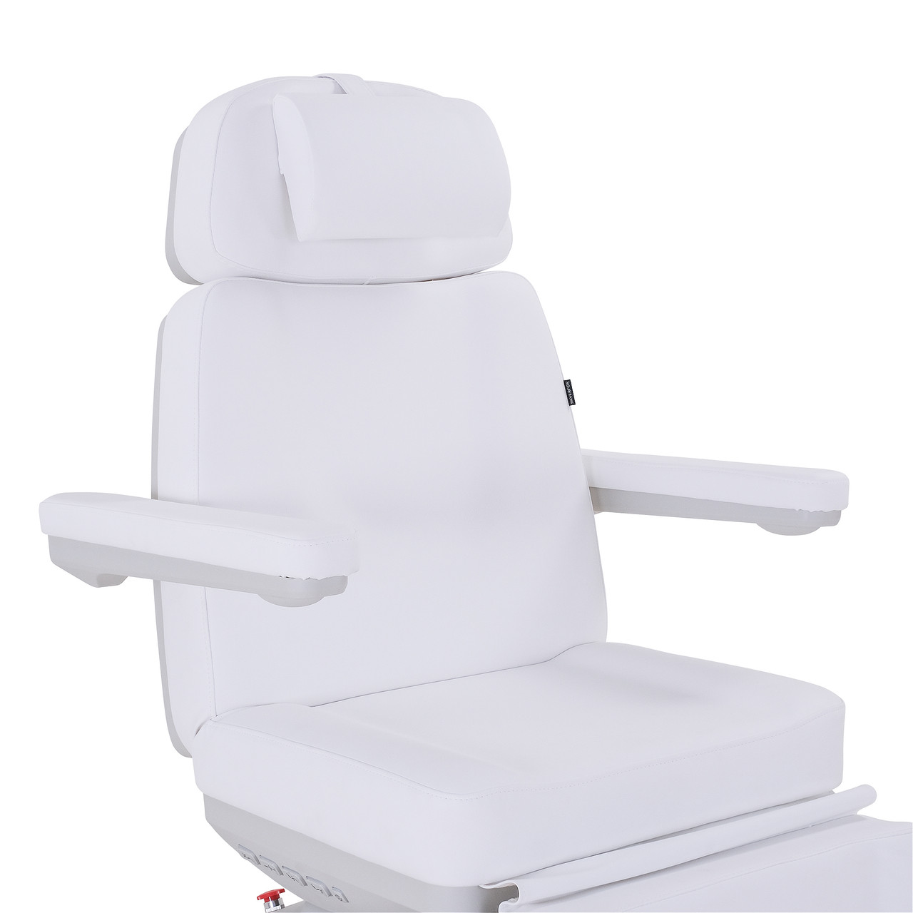 Silverfox 2246BN Professional Electric Medi Spa / Facial Procedure