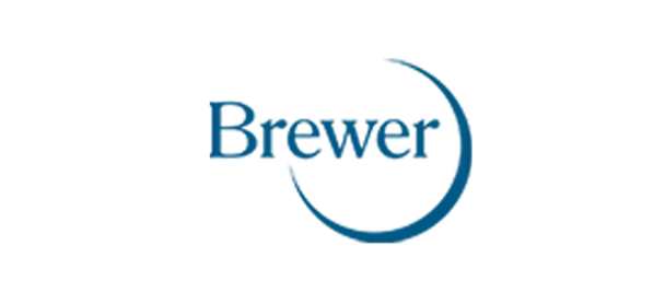 Brewer 2102894 Ergonomic Stirrups for 5700 and 5800