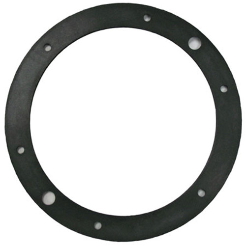 PENTAIR | SINGLE GASKET | 79204600