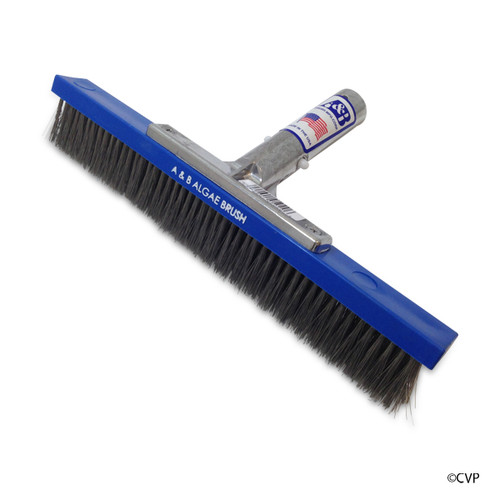 A&B Brush | BRUSH 12" M BACK ALGAE SS | 5020