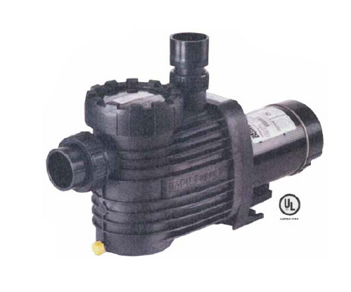 SPECK MODEL | UP RATED PUMPS - TWO SPEED | 2094156049