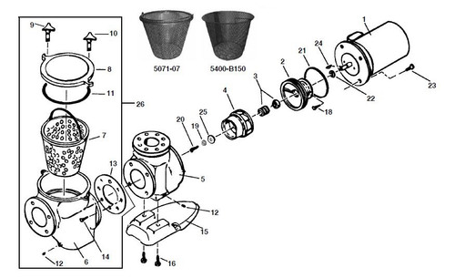 PENTAIR | STRAINER POT, BRONZE (P25575) | 075271