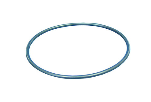 Pentair Pool Products | FILTER PART | RTL / RCF / RDC LID Oring | R172223 568-360