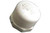 RICHARDSON | CAP, 3/4" FPT | 5099-426