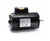 164362C | CENTURY MOTORS | Pool and Spa Pump Motor: Face Mounting, 1 1/2 HP, 1.3 Motor Service Factor, 115/230V AC