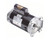 B2849 | CENTURY MOTORS | Pool and Spa Pump Motor: Face Mounting, 1 1/2 HP, 1.5 Motor Service Factor, 230V AC, CCWSE